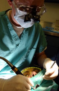 A dentist performing a root canal on a patient